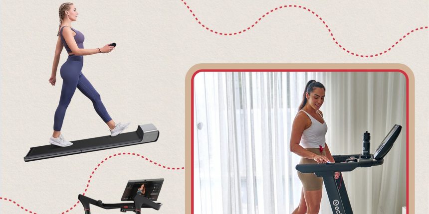 the-best-cushioned-treadmills-to-soften-every-step-you-take